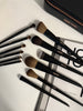 STARDUST 12 piece brush set